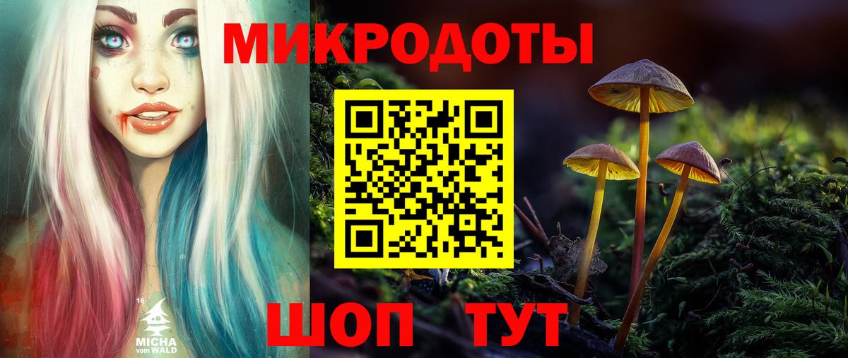 Псилоцибиновые грибы мицелий Шали