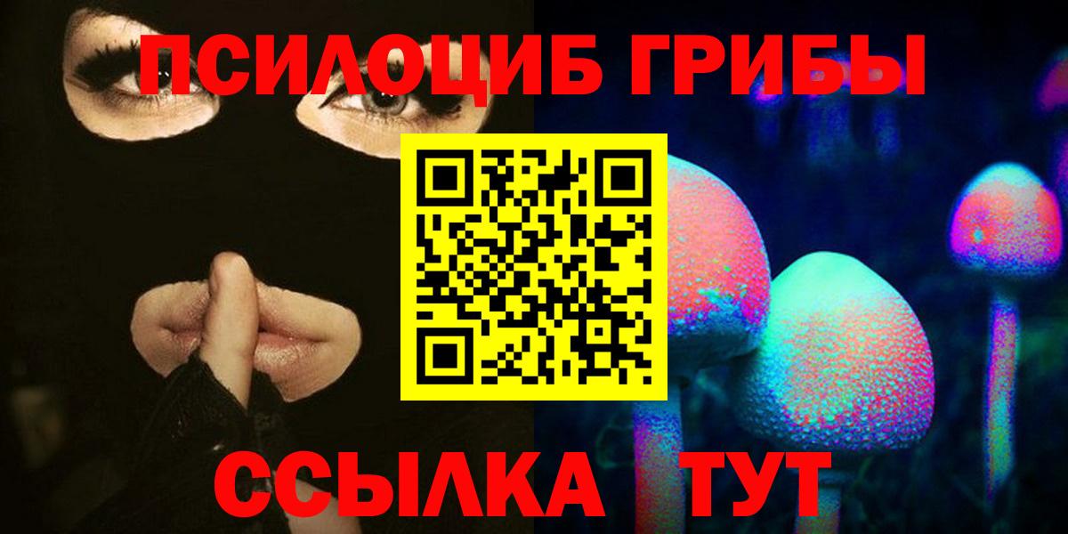 где купить наркоту  Вход с VPN  Шали  Псилоцибиновые грибы Magic Shrooms 
